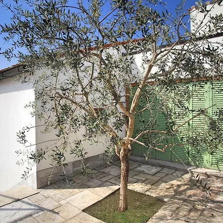 Spacious In Parecag With A Swimming Pool * Sečovlje