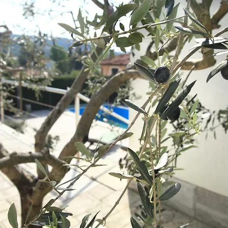 Spacious In Parecag With A Swimming Pool *