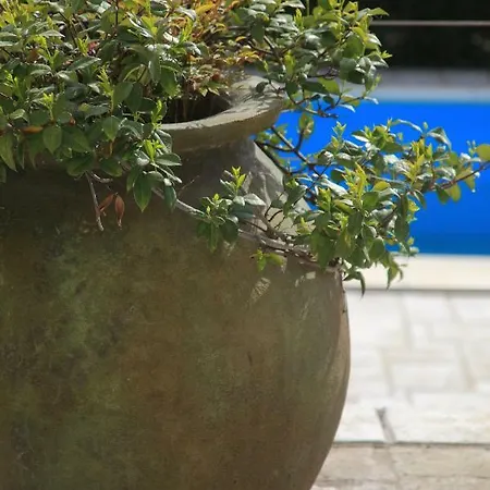 Spacious In Parecag With A Swimming Pool Villa Secovlje